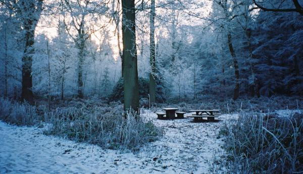 Nesscliffe in winter