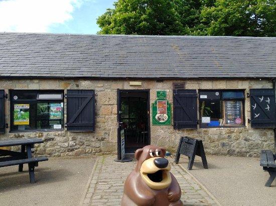 Orienteering, playpark, cafe - what more do you need :-)