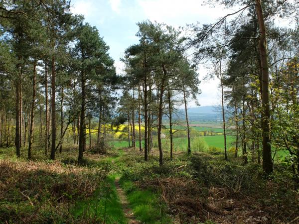 Haughmond Hill